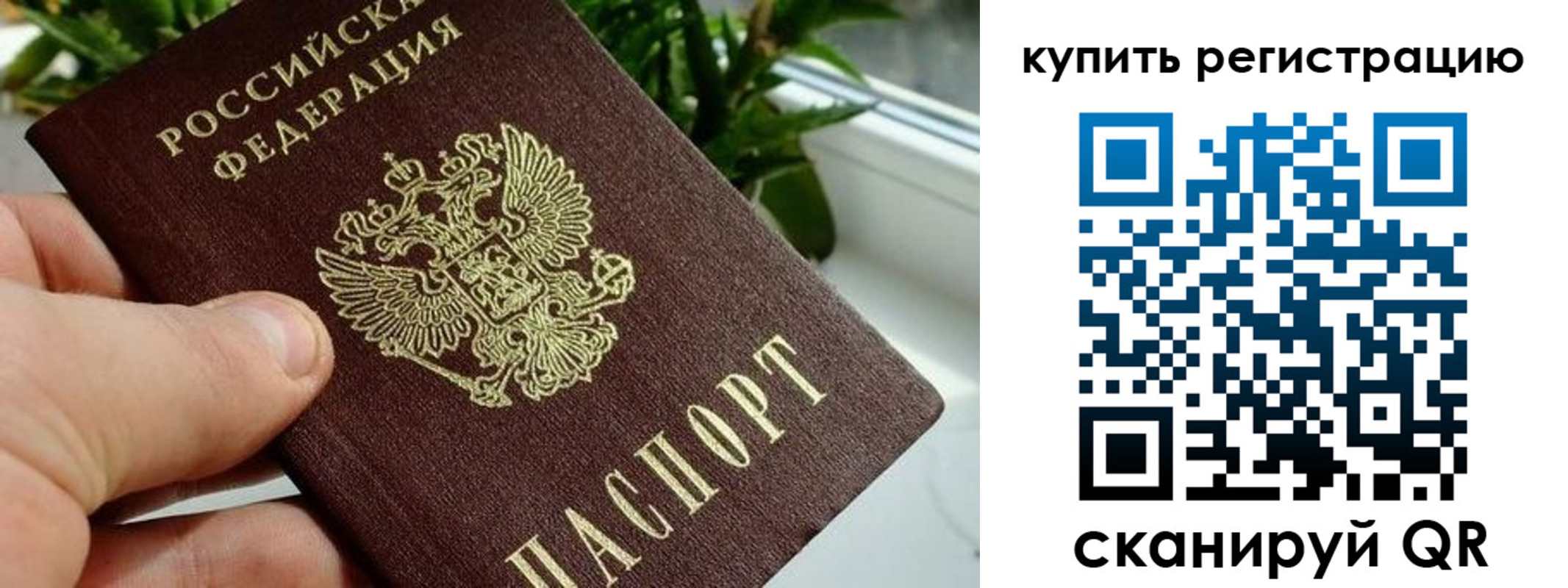 прописка гарантия в Пикалёво